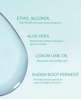 Power Mist Frosted Mint Hand Sanitizer