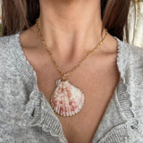 Maiori Shell Necklace