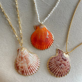 Maiori Shell Necklace