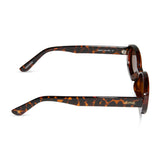 Westwood Tortoise Polarized