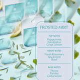 Power Mist Frosted Mint Hand Sanitizer