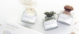 Clay Mask Trio Set - Traveling Chic Boutique, VA