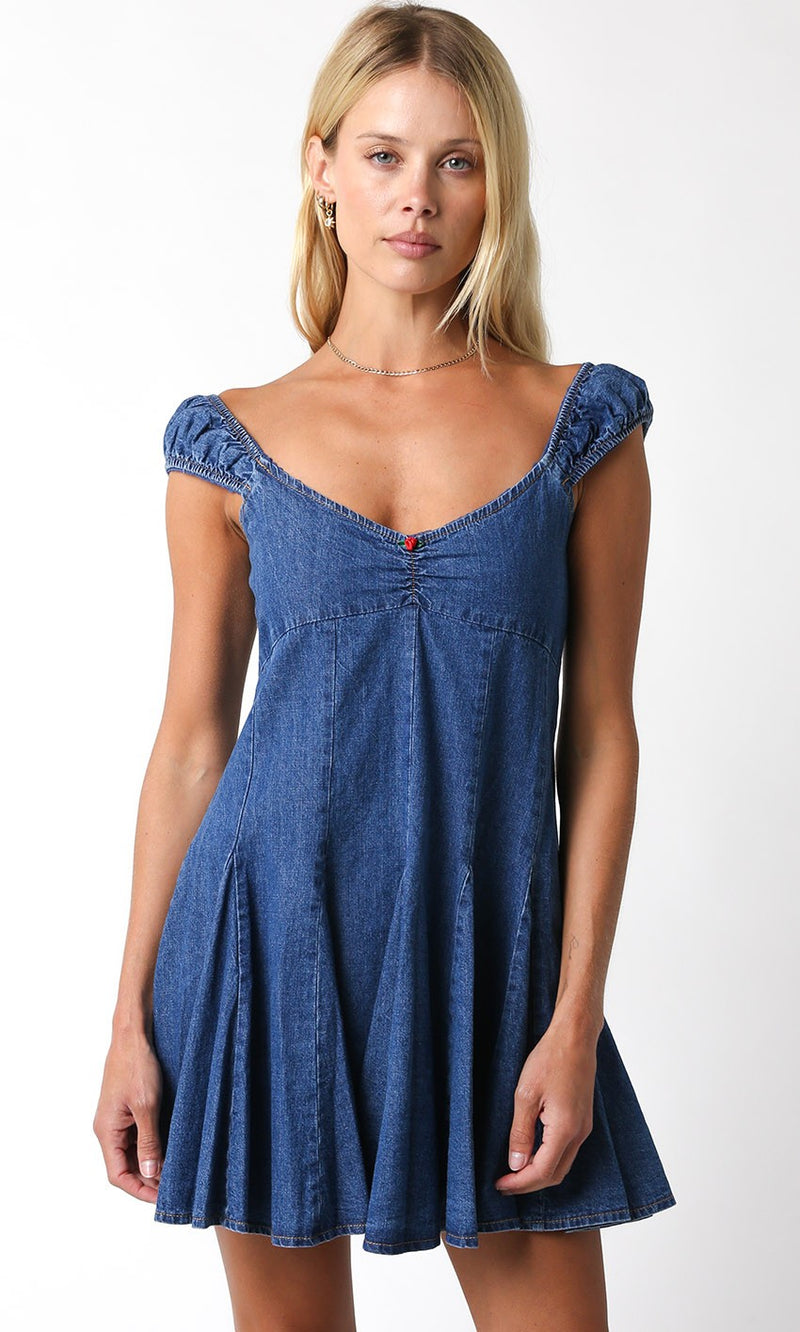 Audrey Denim Dress
