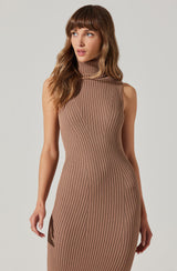 Channary Sleeveless Turtleneck Sweater Dress