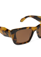 Aura Brown Kombu + BROWN POLARIZED