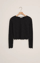 Aurora Lace Cropped Long Sleeve