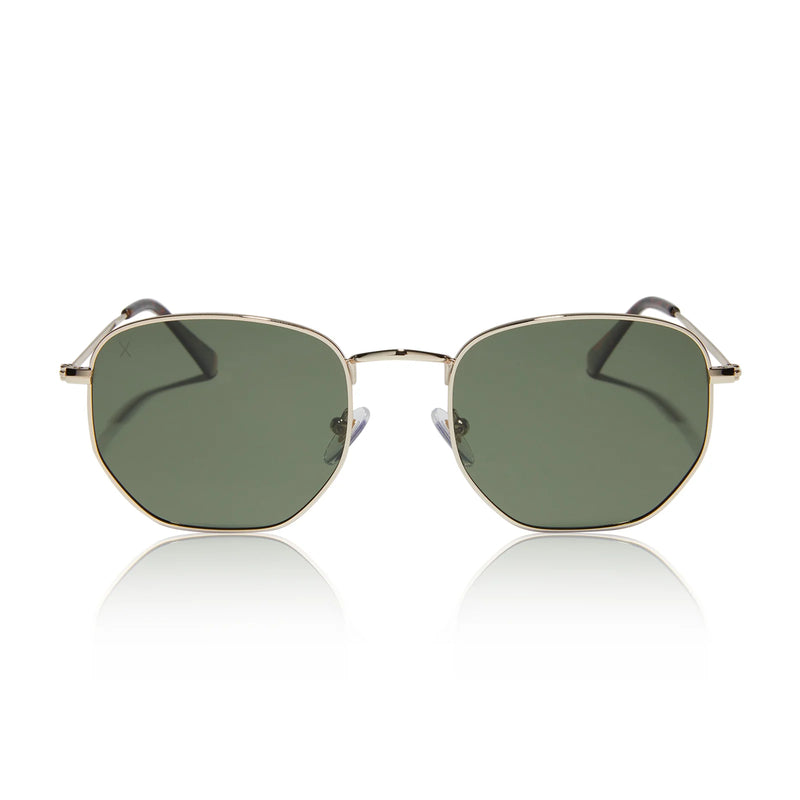 Roxbury Gold Polarized