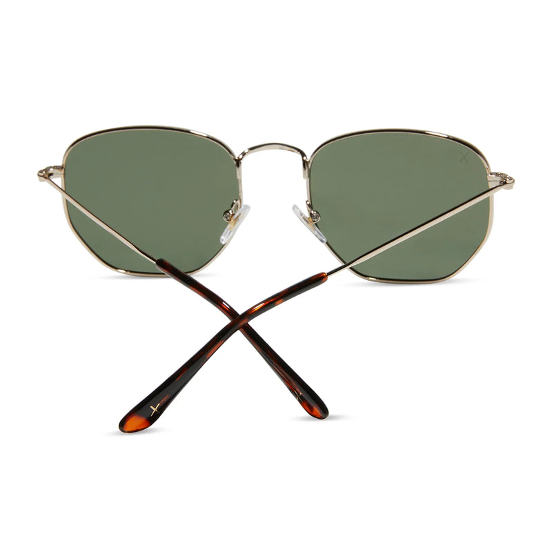 Roxbury Gold Polarized