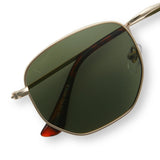 Roxbury Gold Polarized