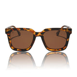 Malibu Tortoise + BROWN POLARIZED