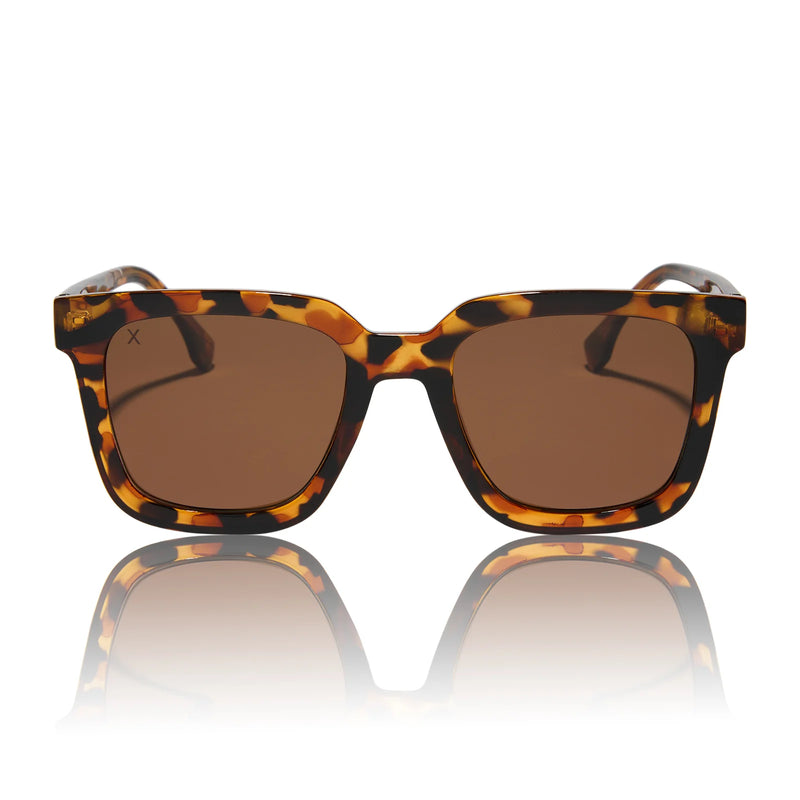 Malibu Tortoise + BROWN POLARIZED