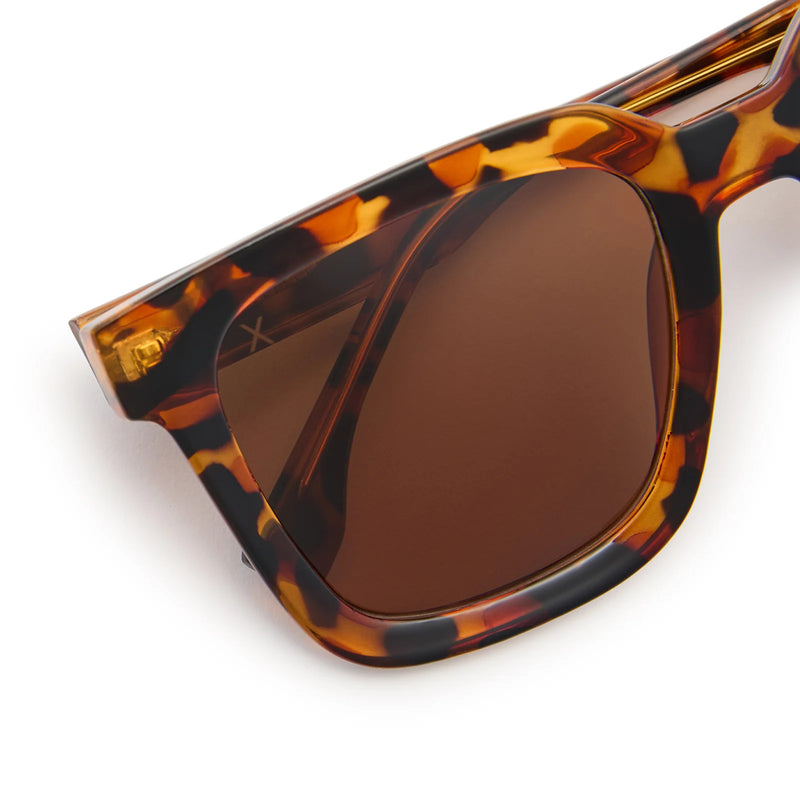 Malibu Tortoise + BROWN POLARIZED