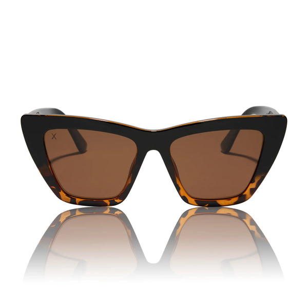 Windsor Black Tortoise + BROWN POLARIZED