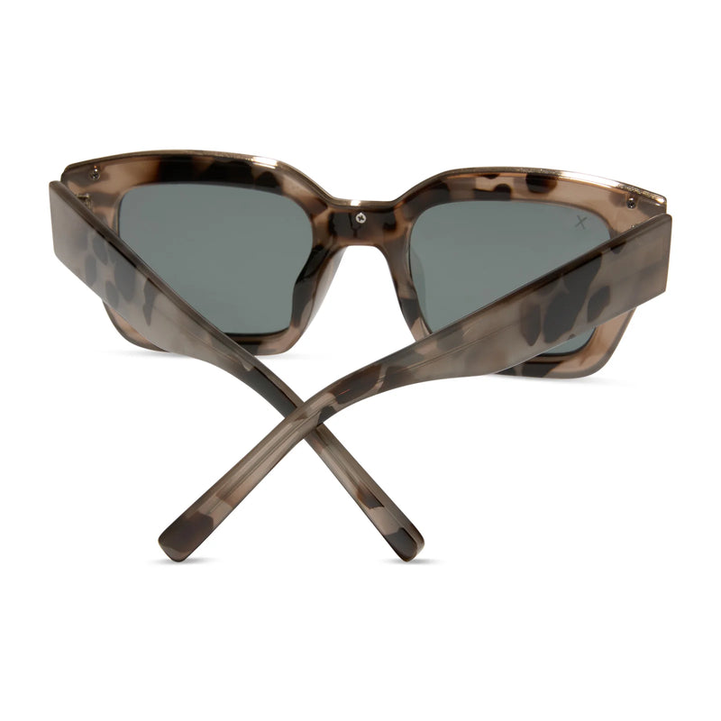 AMORE Oat Tort Polarized