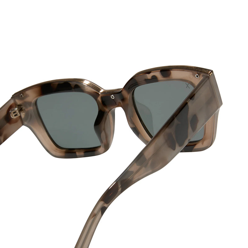 AMORE Oat Tort Polarized